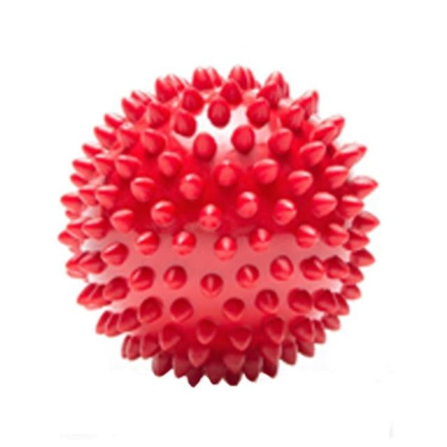 "Rolly" Yoga Ball